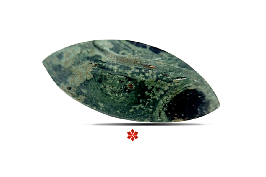 Zoisite 26x11 MM 10.86 carats