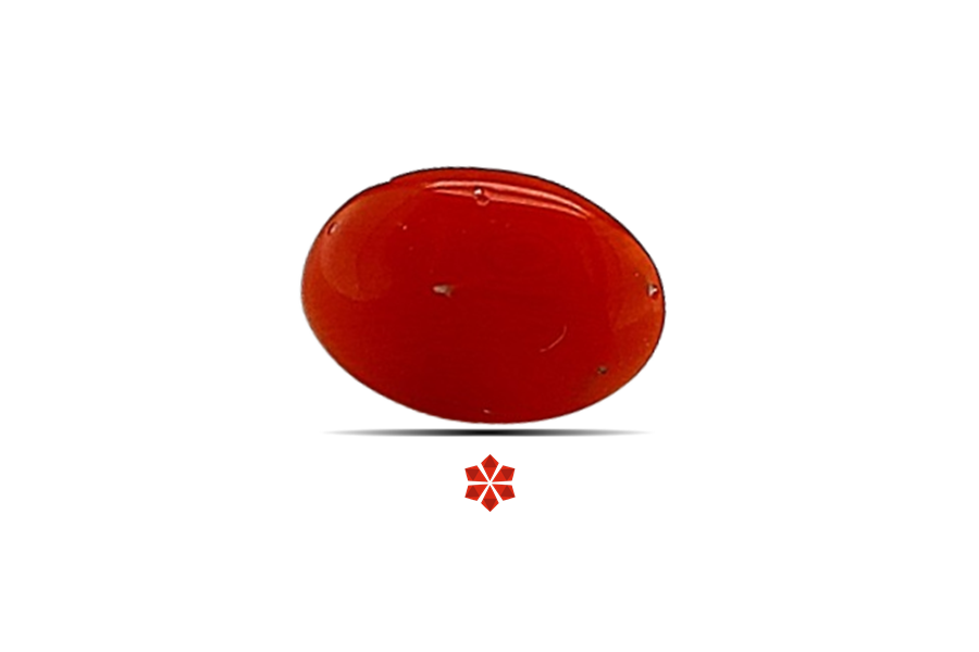 Red Coral 8x6 MM 0.75 carats