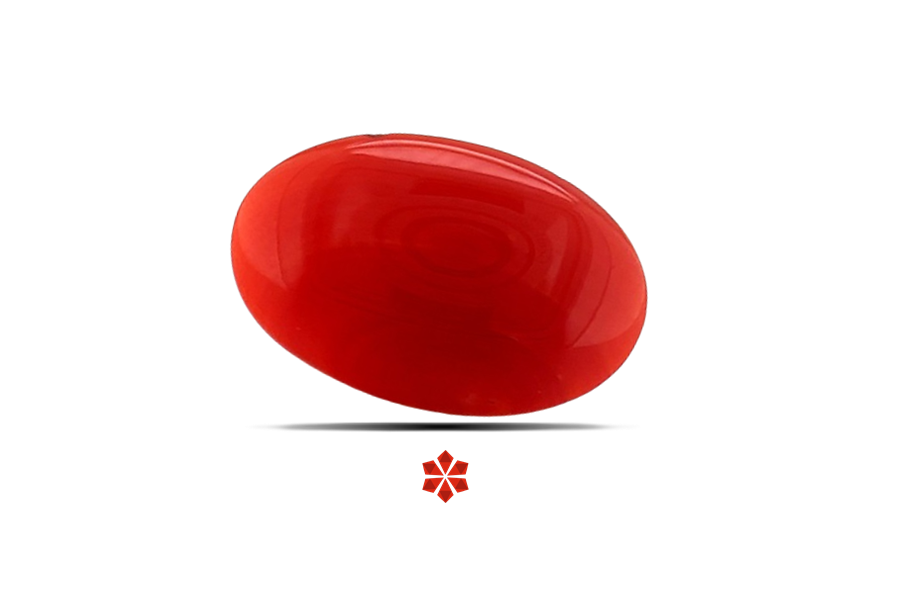 Red Coral 15x10 MM 3.25 carats