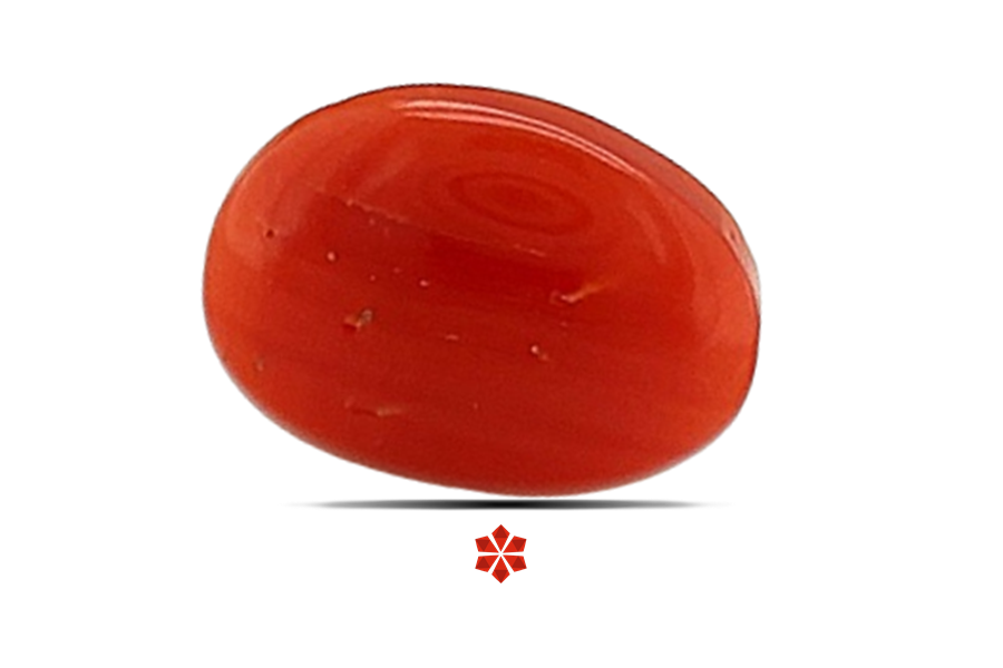 Red Coral 10x8 MM 1.4 carats