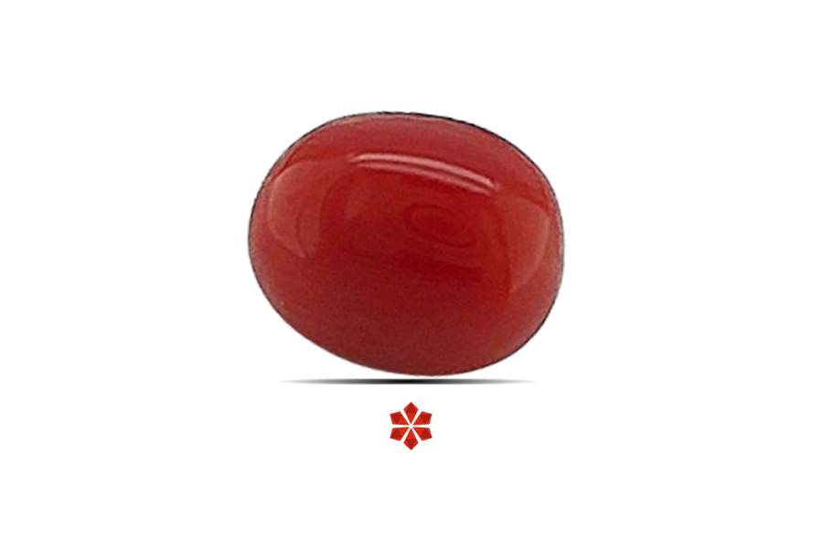 Red Coral 7x6 MM 1.3 carats