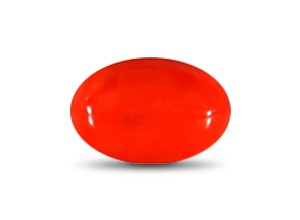 Red Coral (Pavalam)