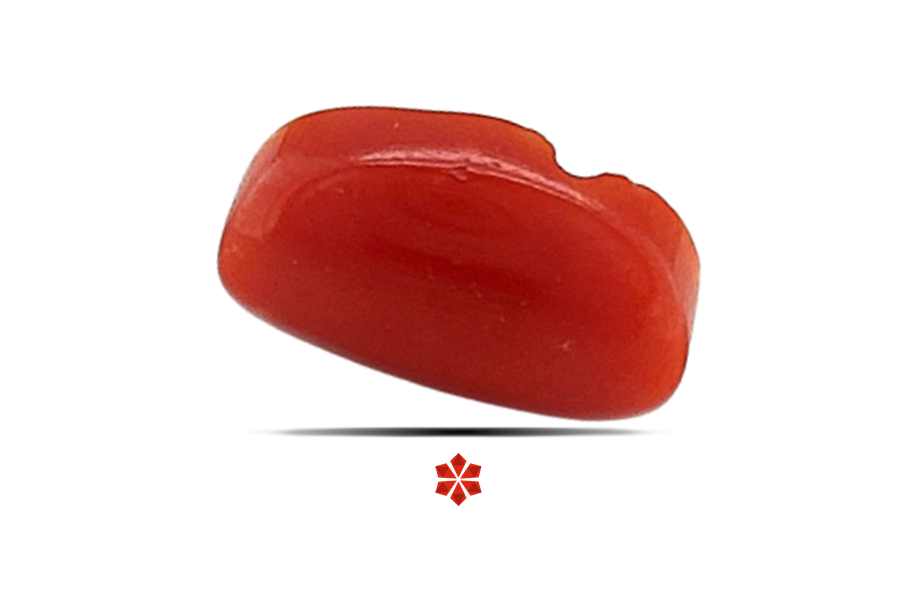 Red Coral 10x7 MM 1.96 carats
