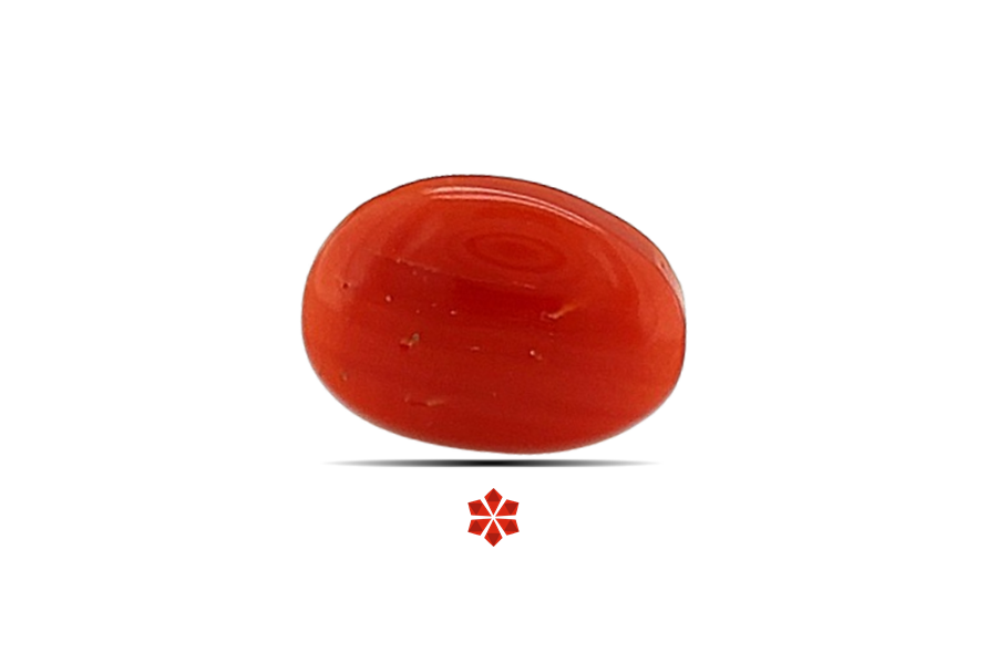 Red Coral 10x8 MM 1.4 carats