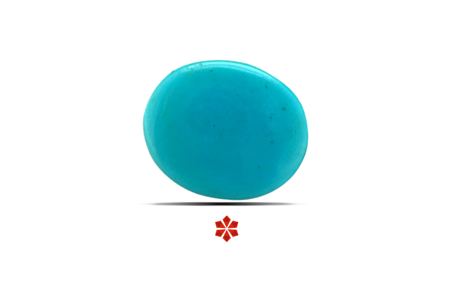 Turquoise 16x13 MM 8.84 carats