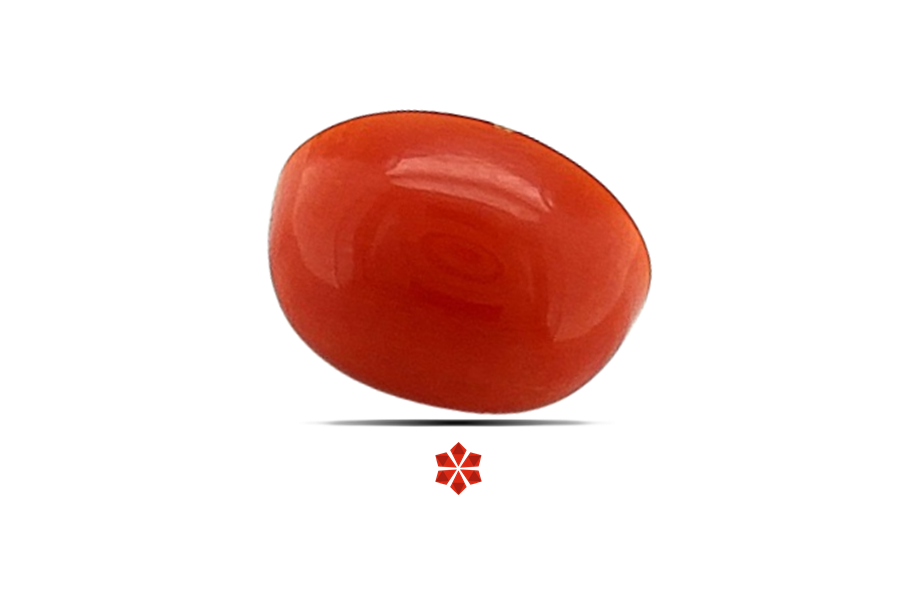 Red Coral 9x7 MM 2.1 carats
