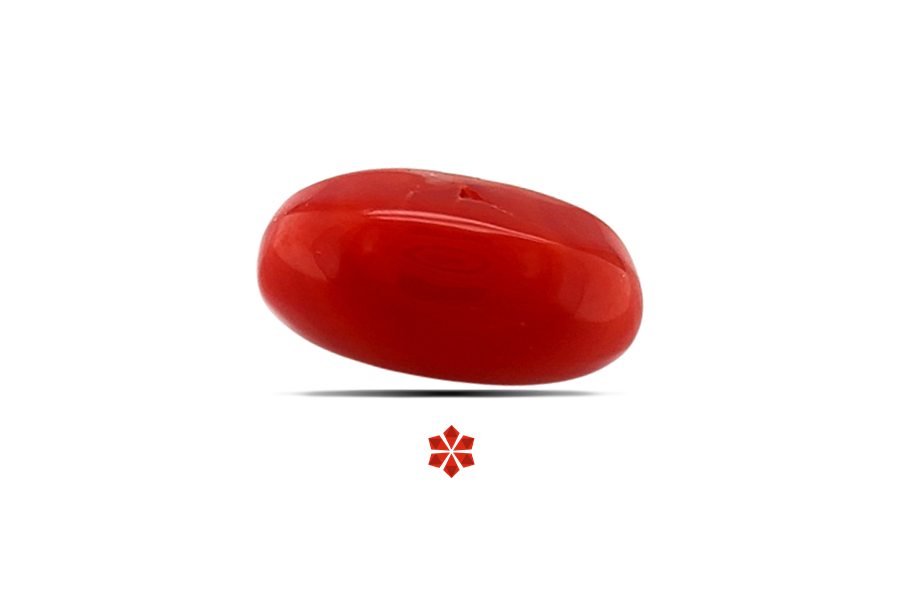 Red Coral 13x7 MM 4.34 carats