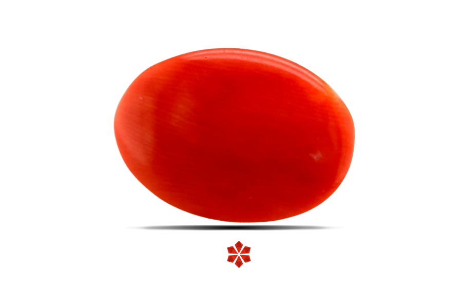 Red Coral (Pavalam) 17x12 MM 5.27 carats