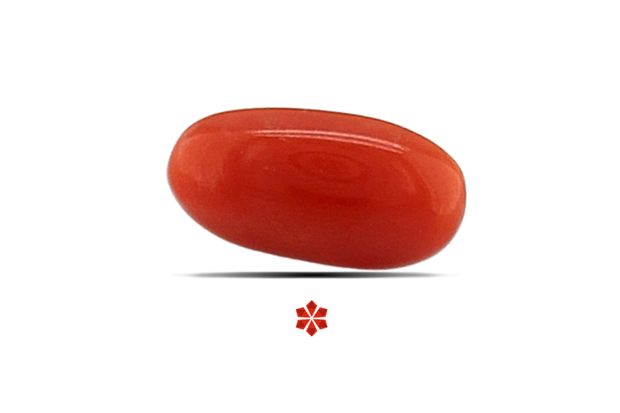 Red Coral 11x6 MM 1.63 carats