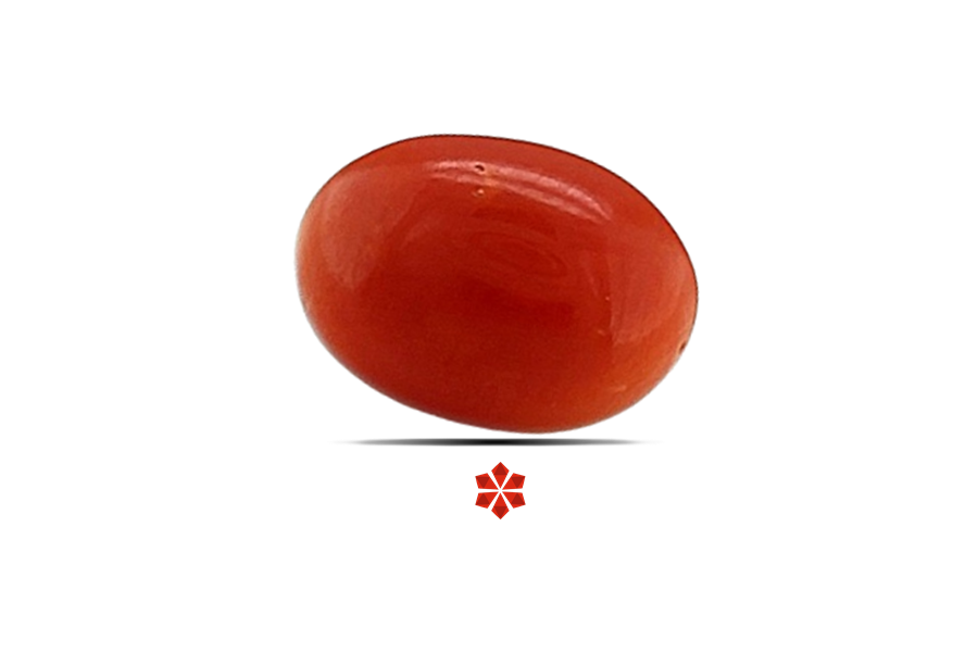 Red Coral 9x7 MM 2.2 carats