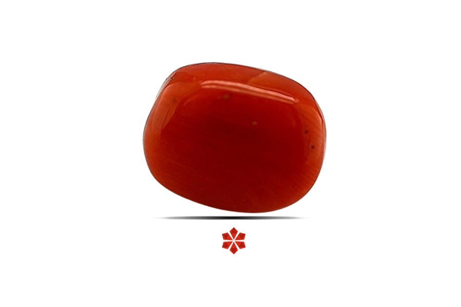 Red Coral 14x11 MM 7.24 carats