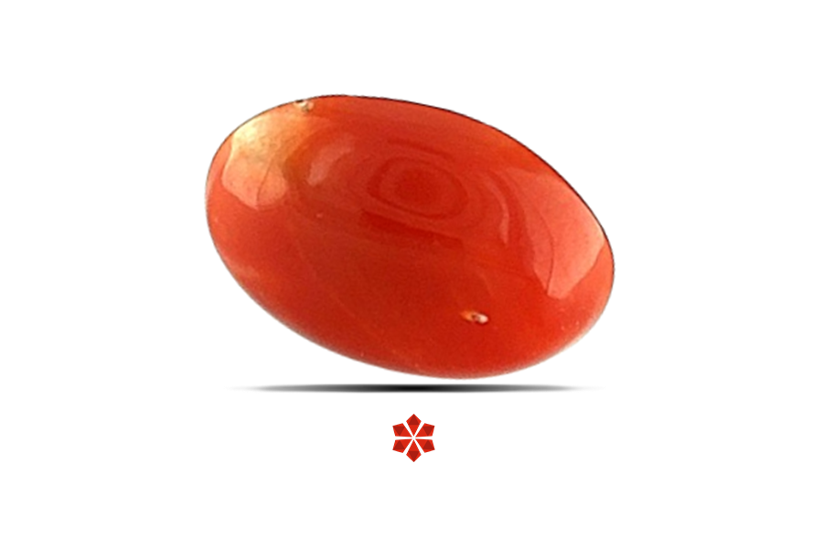 Red Coral 10x7 MM 1.69 carats