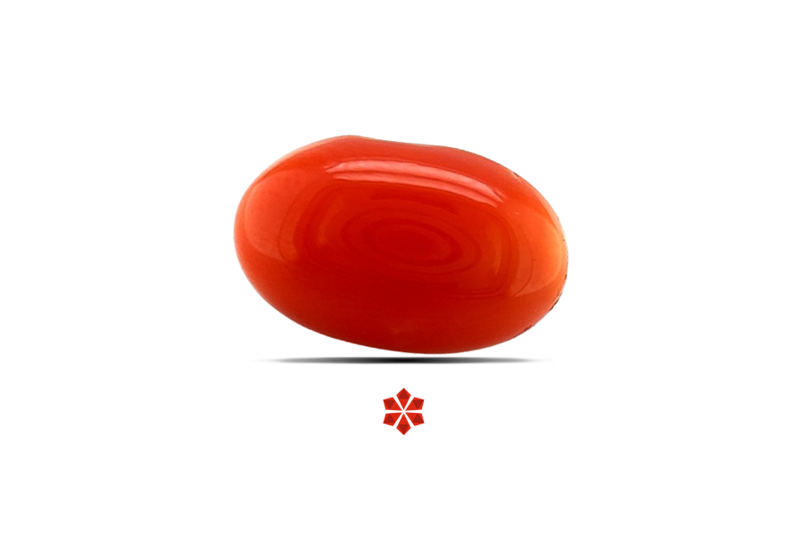 Red Coral 13x8 MM 3.84 carats