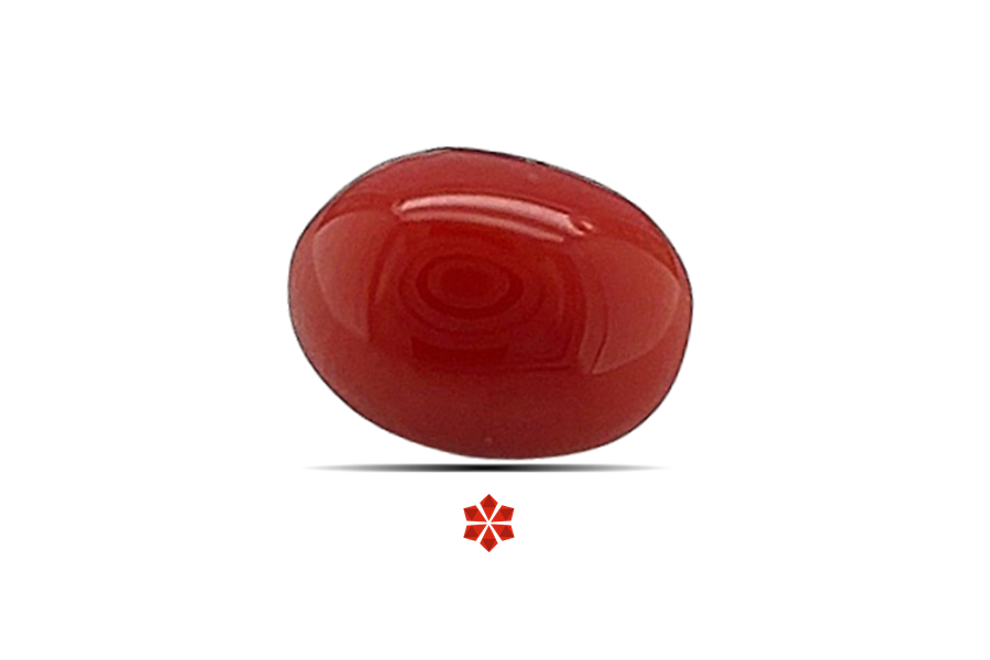 Red Coral 8x6 MM 1.4 carats